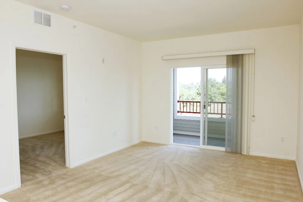 Movie Theater & Entertainment